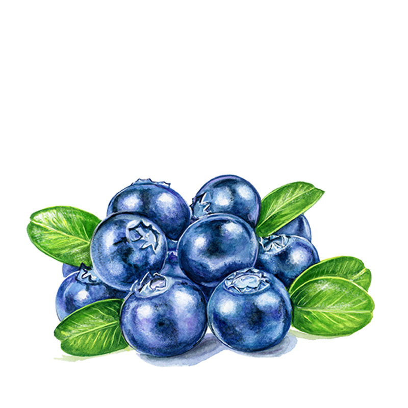 NH Website_Blueberries-square