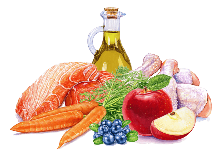 Nature's Harvest Natural Pet Food